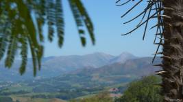 Alexandre LABADIE - LABADIE ALEXANDRE