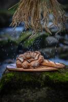 Jérémie MOLARO - F & F PHOTOGRAPHIE